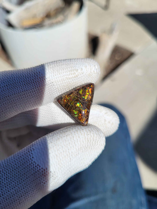 Freeform Ammolite Gemstone - CG26