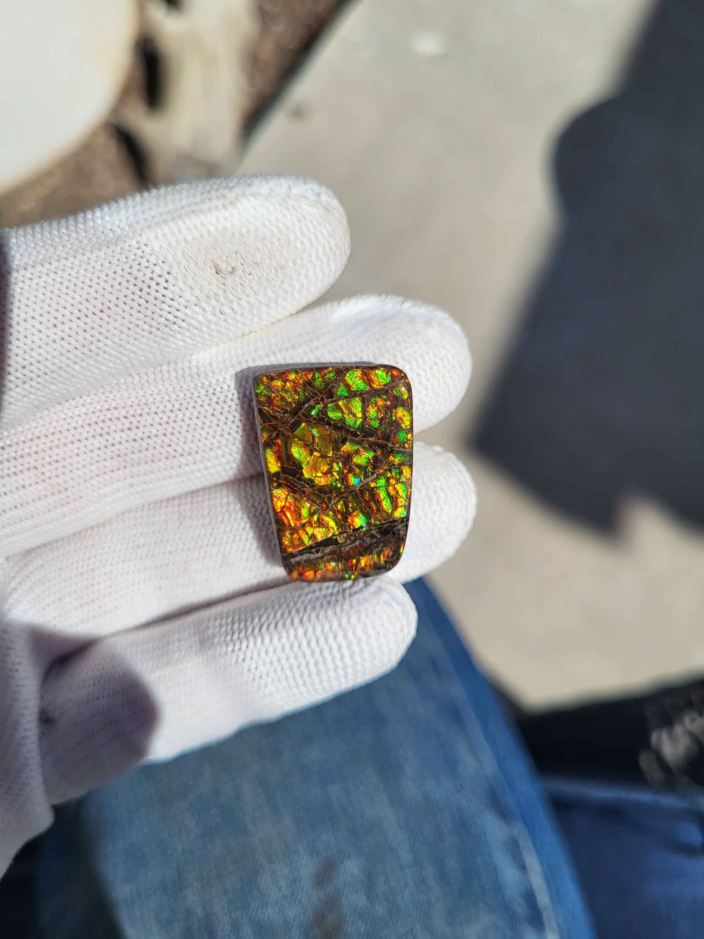 Freeform Ammolite Gemstone - CG28