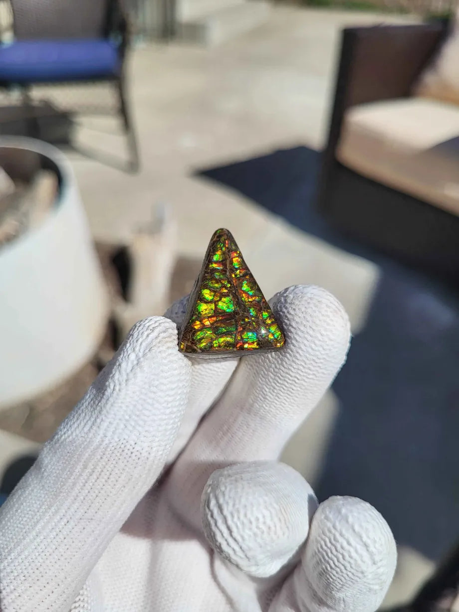 Freeform Ammolite Gemstone - CG29