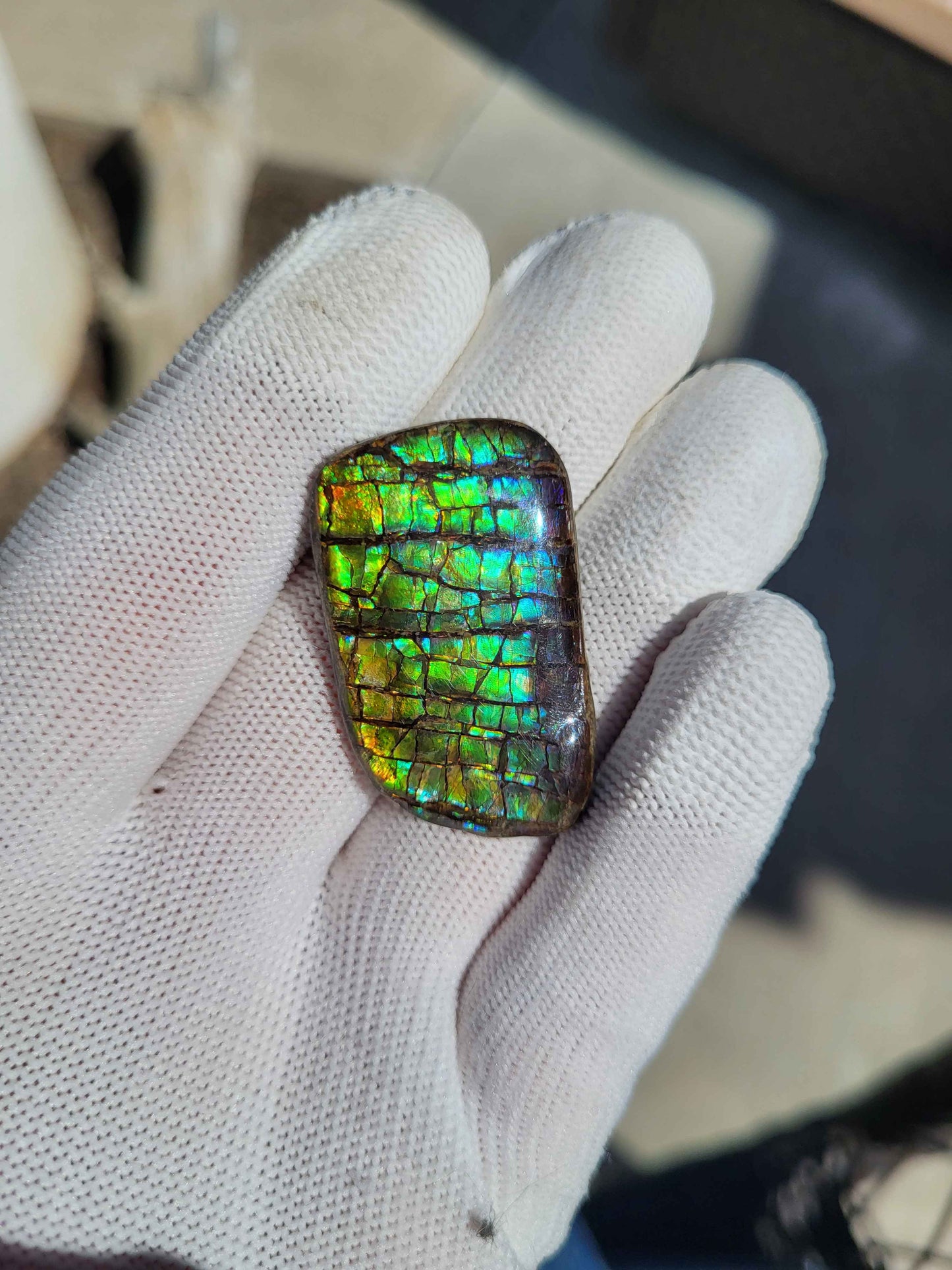 Freeform Ammolite Gemstone - CG31