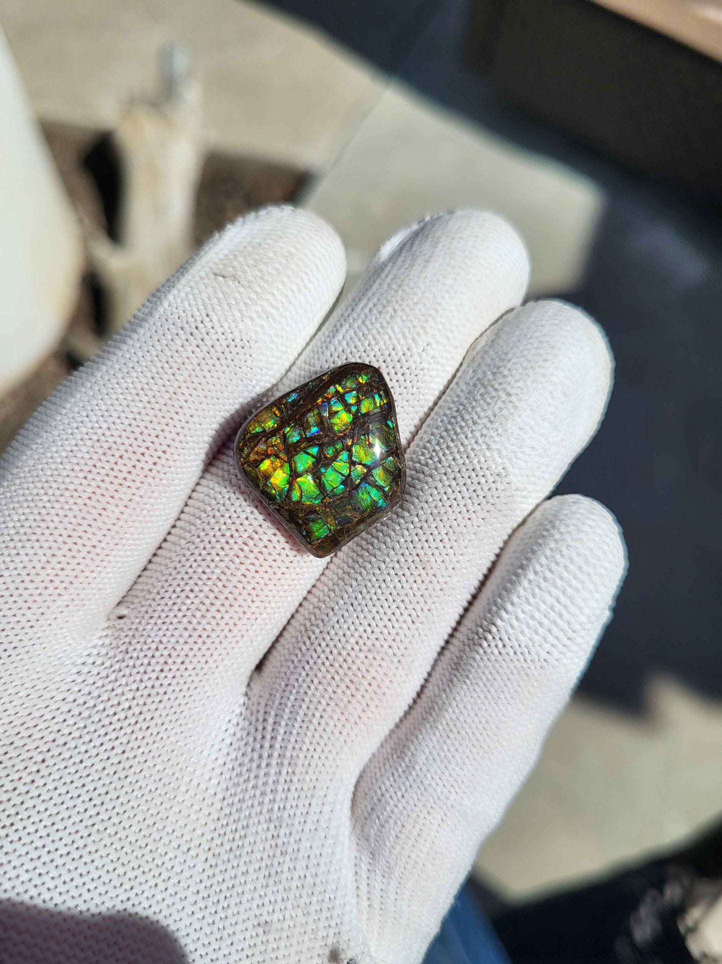Freeform Ammolite Gemstone - CG35