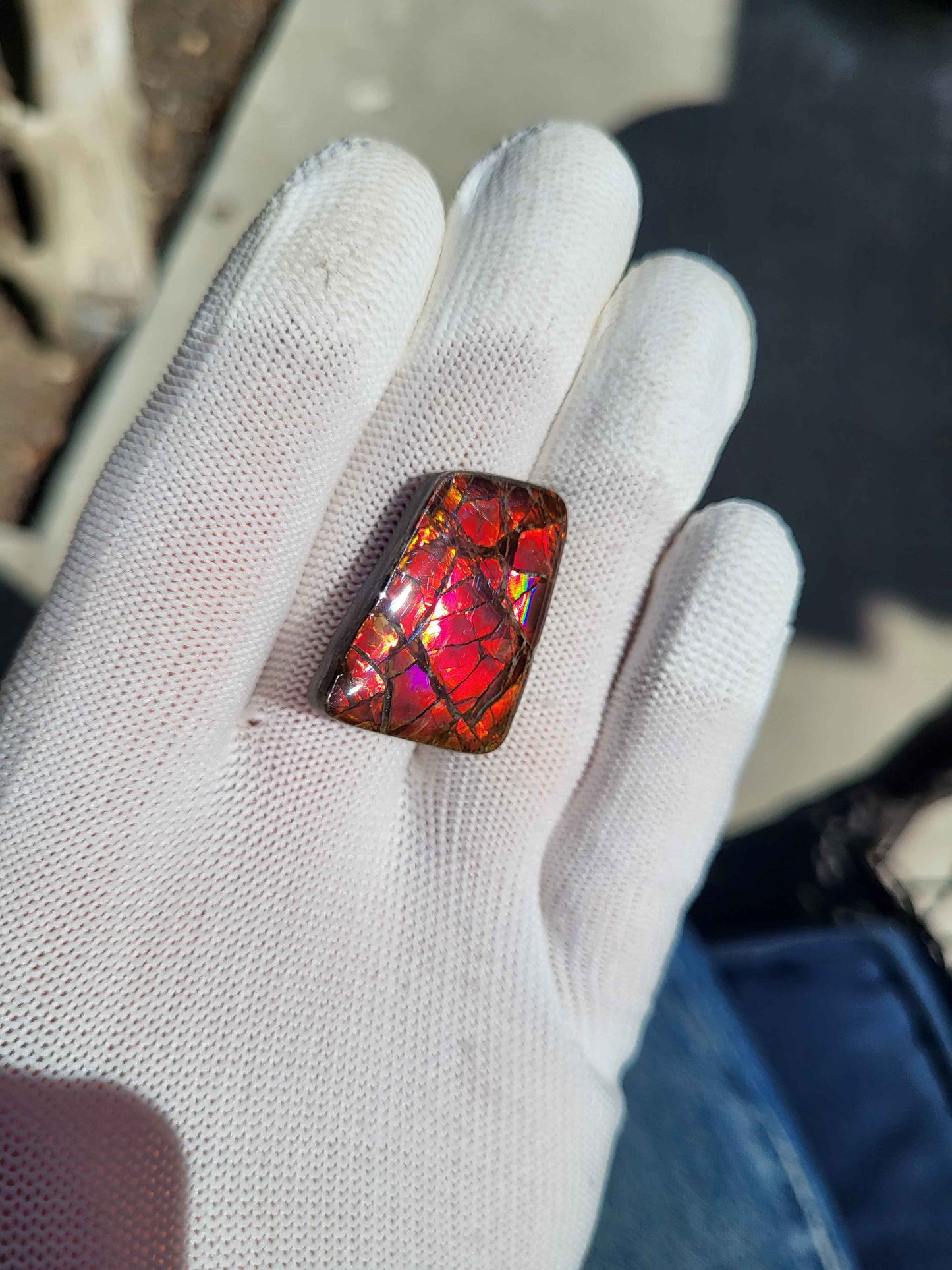 Freeform Ammolite Gemstone - CG36