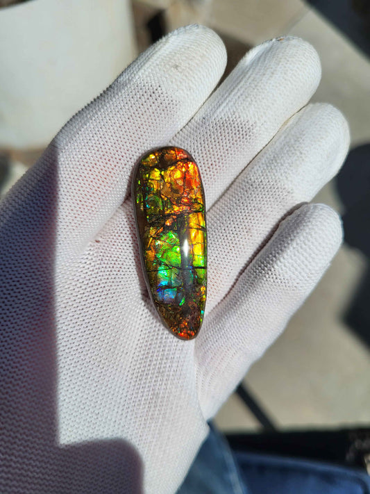 Freeform Ammolite Gemstone - CG37