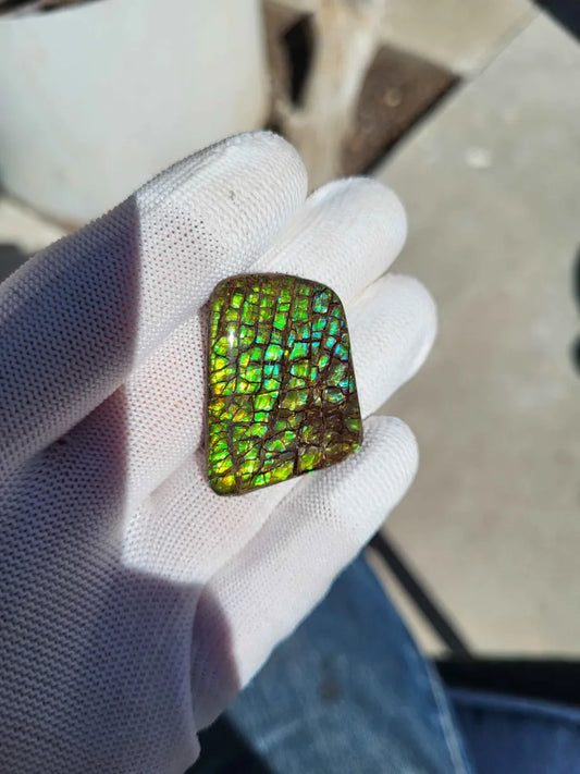 Freeform Ammolite Gemstone - CG38