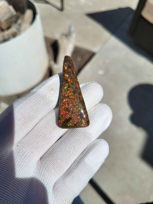 Freeform Ammolite Gemstone - CG39