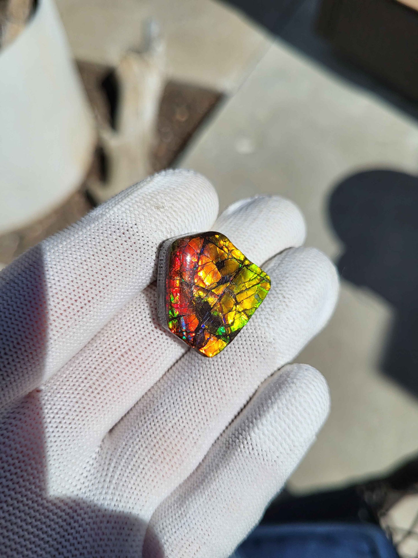 Freeform Ammolite Gemstone - CG41