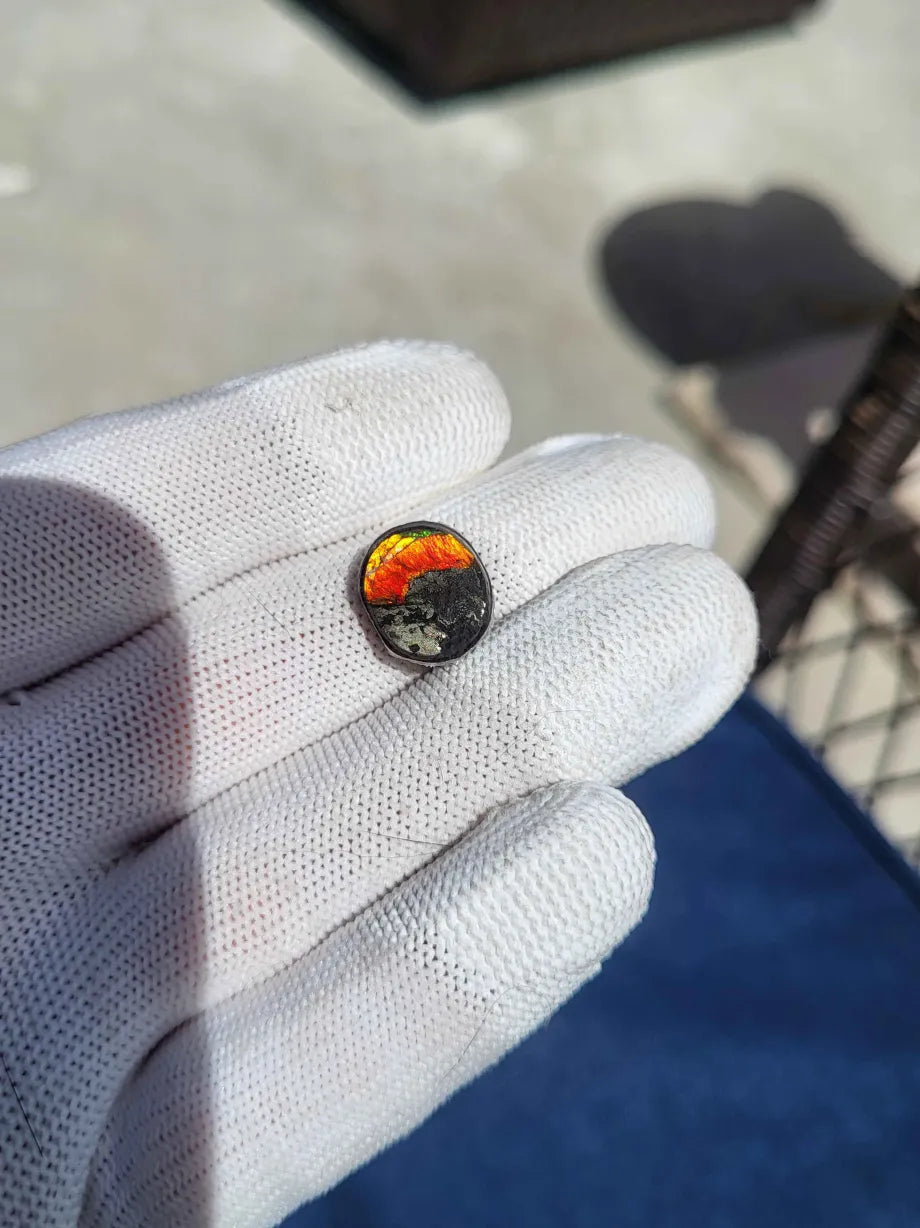 Double-Sided Ammolite Gemstone with Pyrite - CG89
