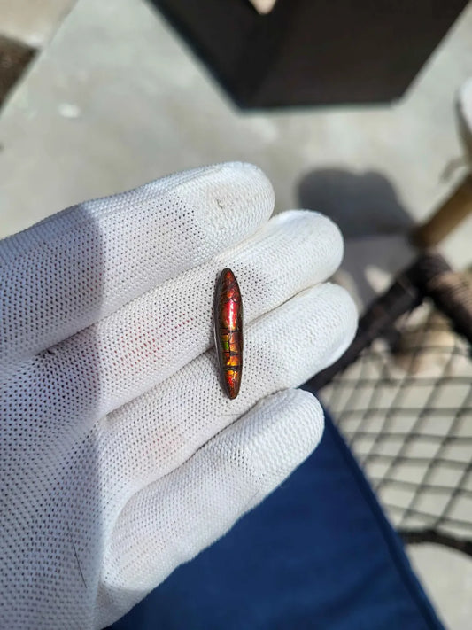 Ammolite Gemstone - CG88