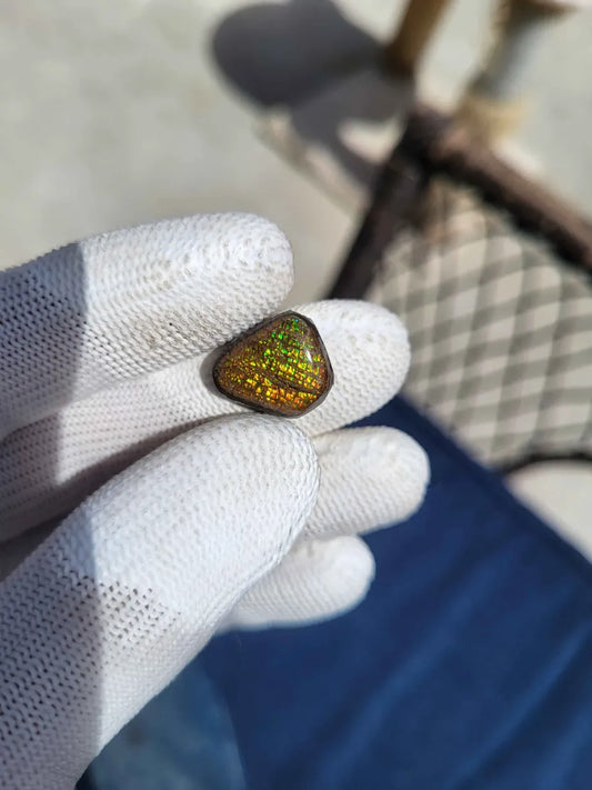 Freeform Ammolite Gemstone - CG90
