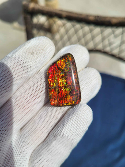 Freeform Ammolite Gemstone - CG33