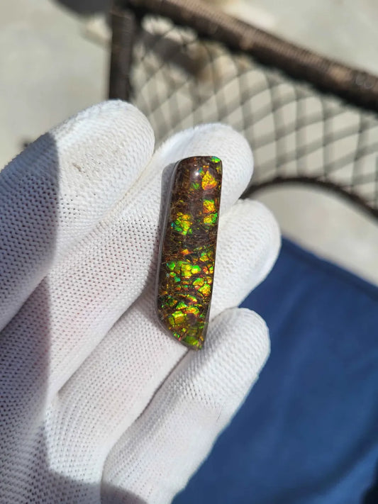 Freeform Ammolite Gemstone - CG51