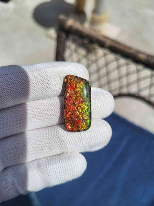 Freeform Ammolite Gemstone - CG20