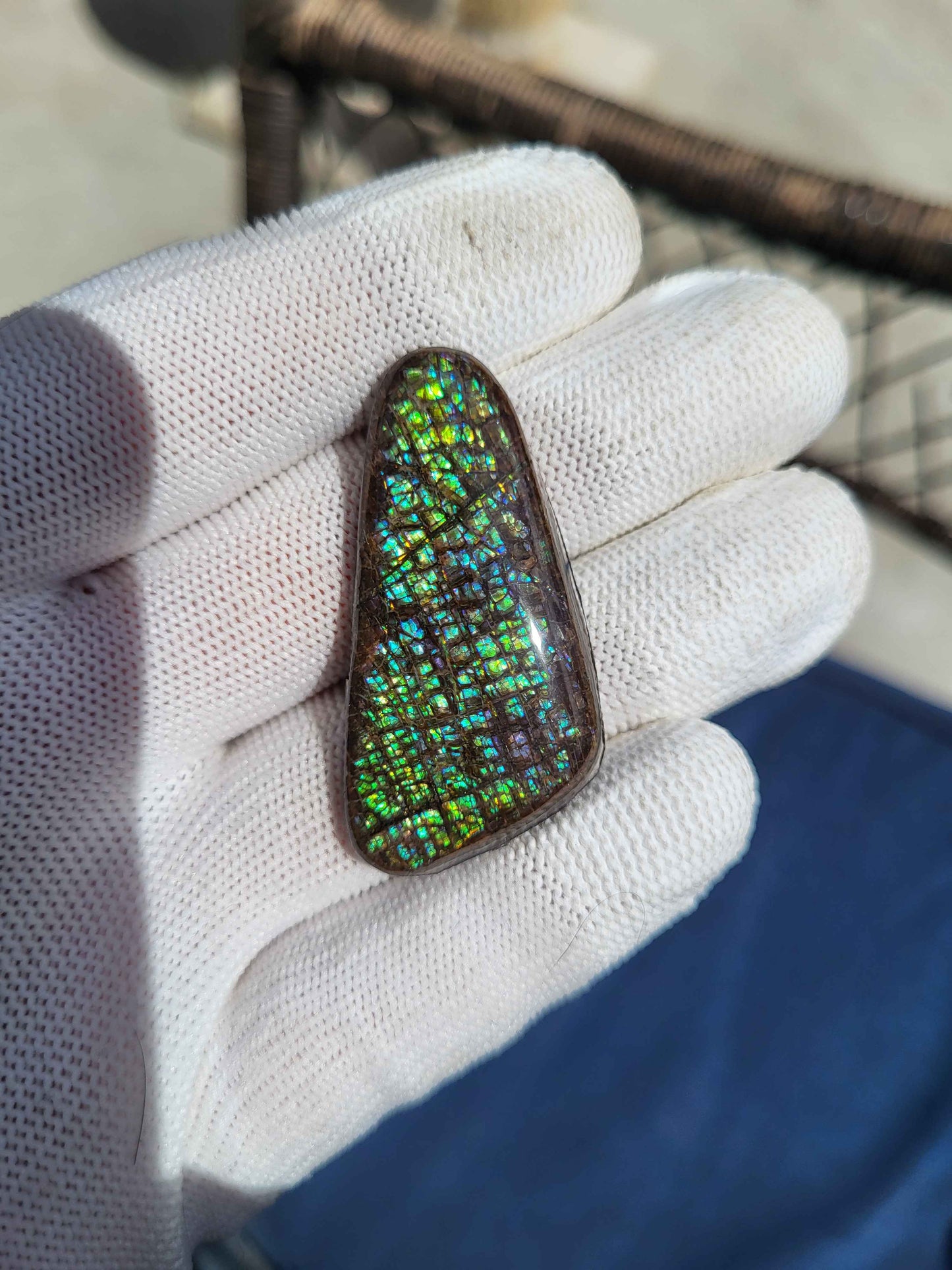 Freeform Ammolite Gemstone - CG55