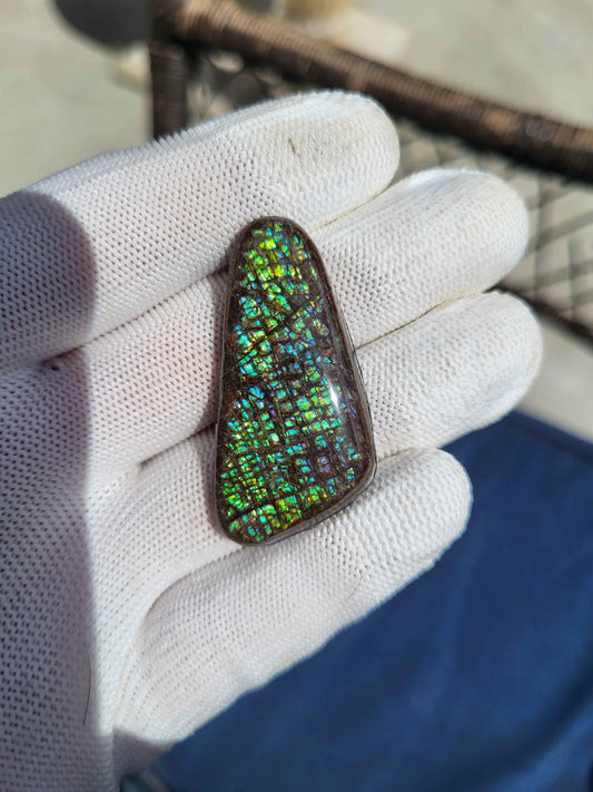Freeform Ammolite Gemstone - CG55