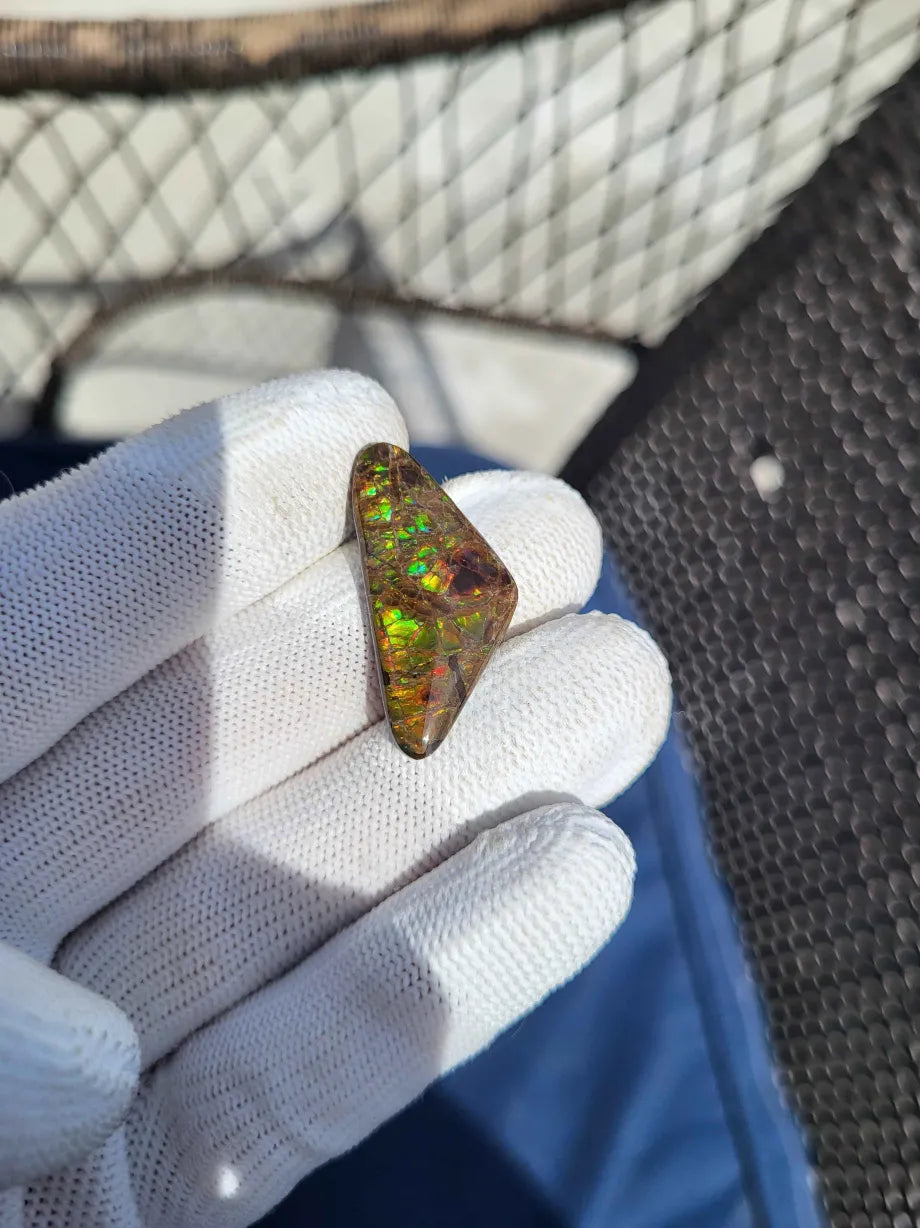 Freeform Ammolite Gemstone - CG59