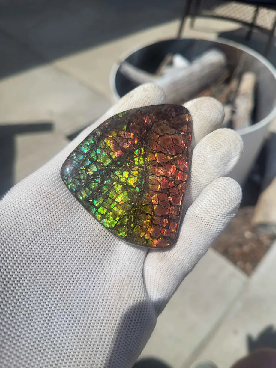 Freeform Ammolite Gemstone - CG61