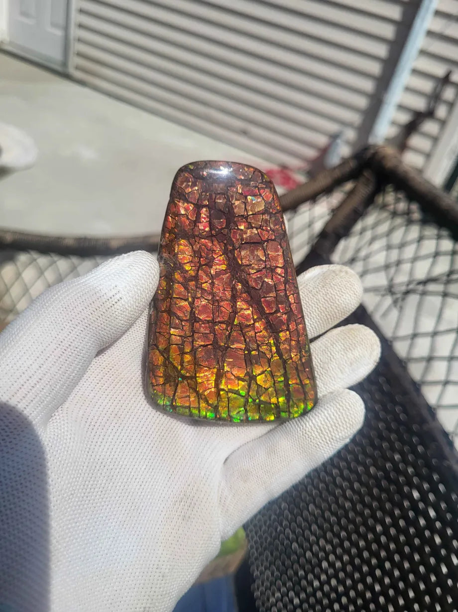 Freeform Ammolite Gemstone - CG71