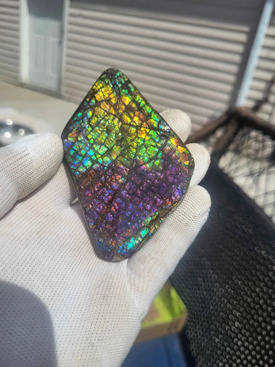 TRUE PINK Freeform Ammolite Gemstone - CG72