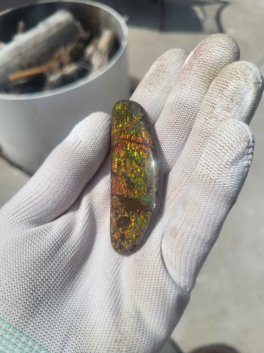Freeform Ammolite Gemstone - CG74