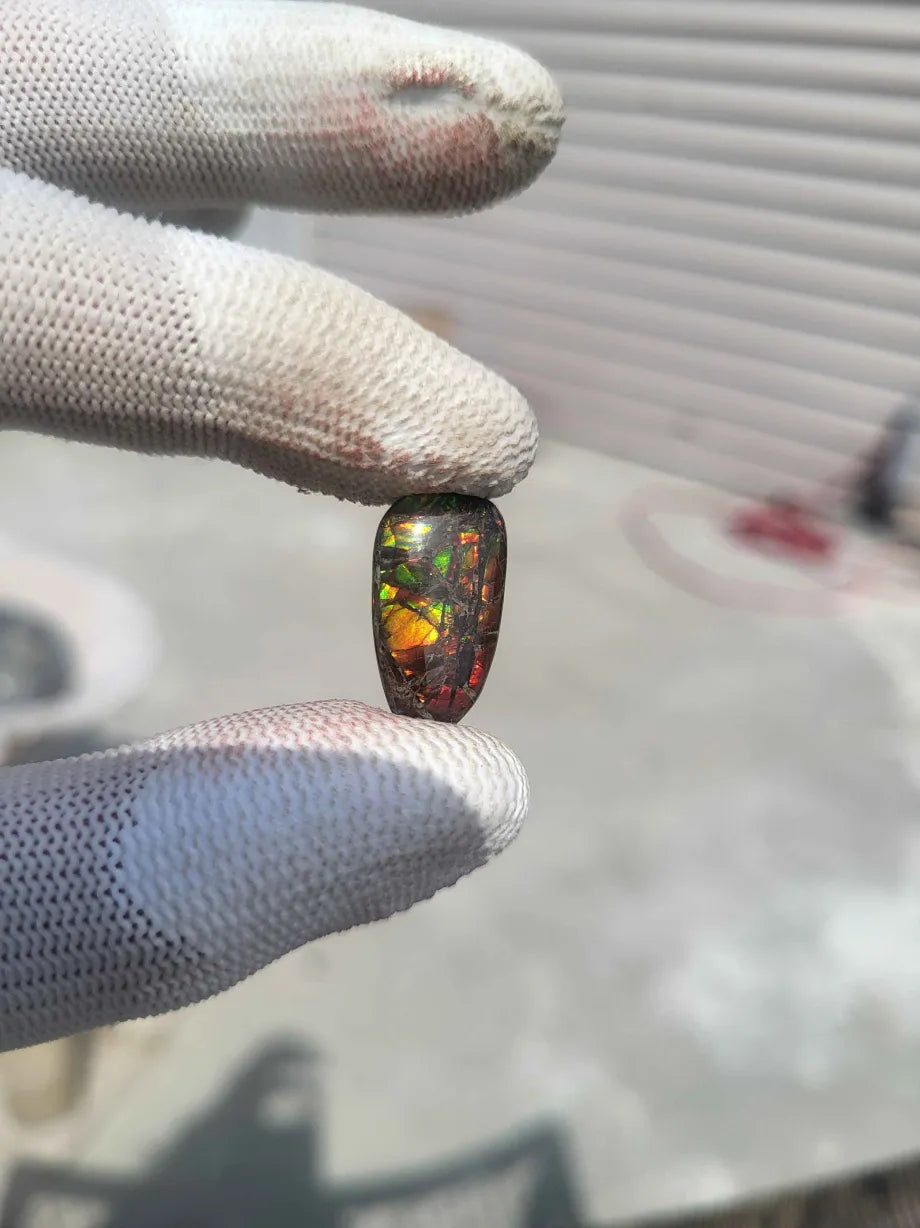 Freeform Ammolite Gemstone - CG75
