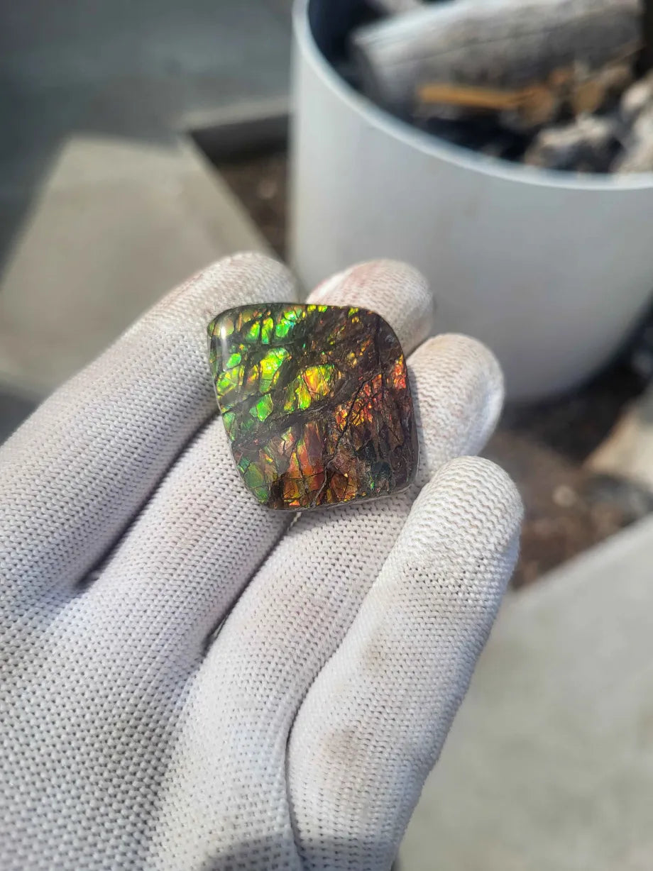 Freeform Ammolite Gemstone - CG76