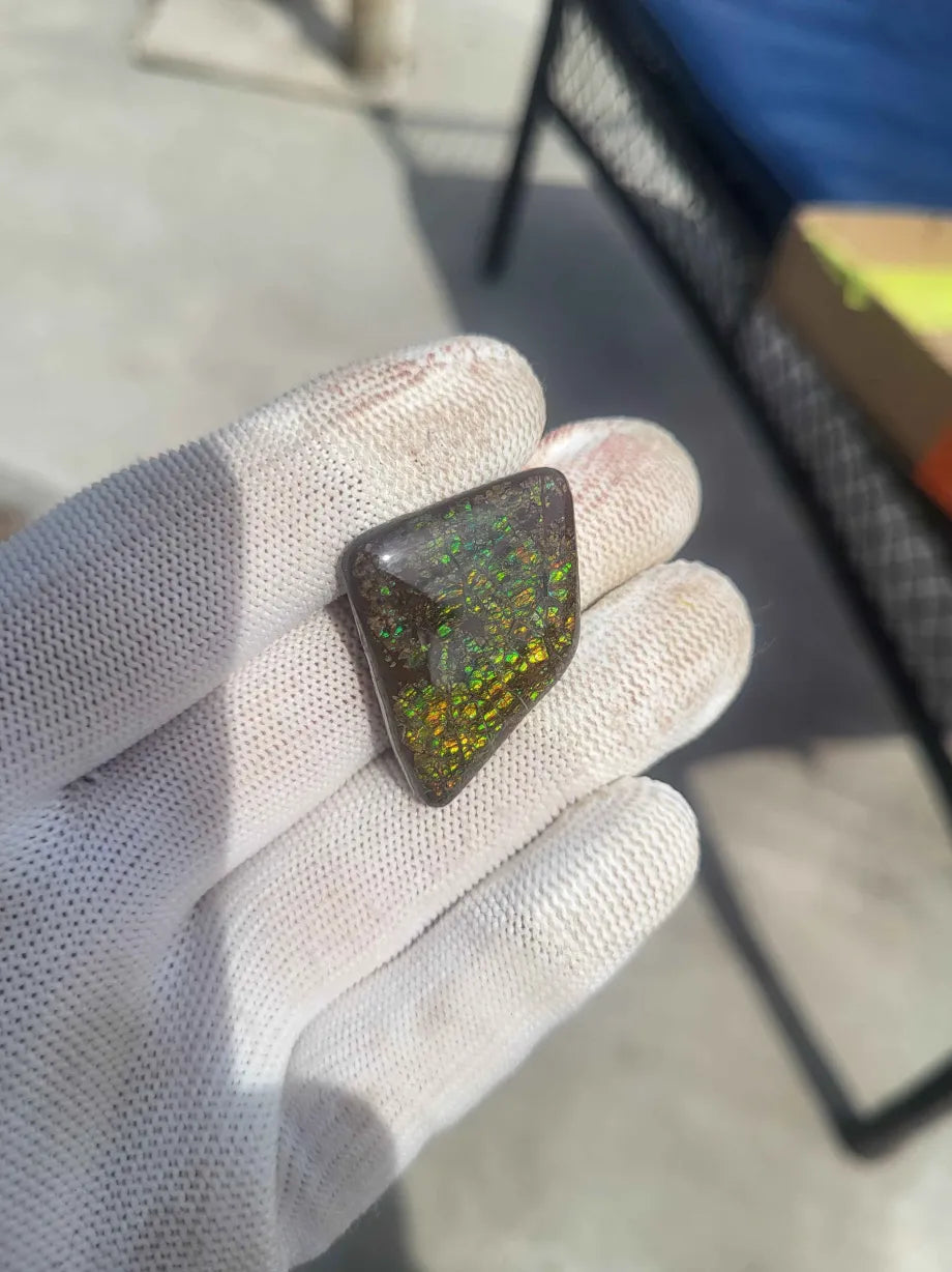 Freeform Ammolite Gemstone - CG78