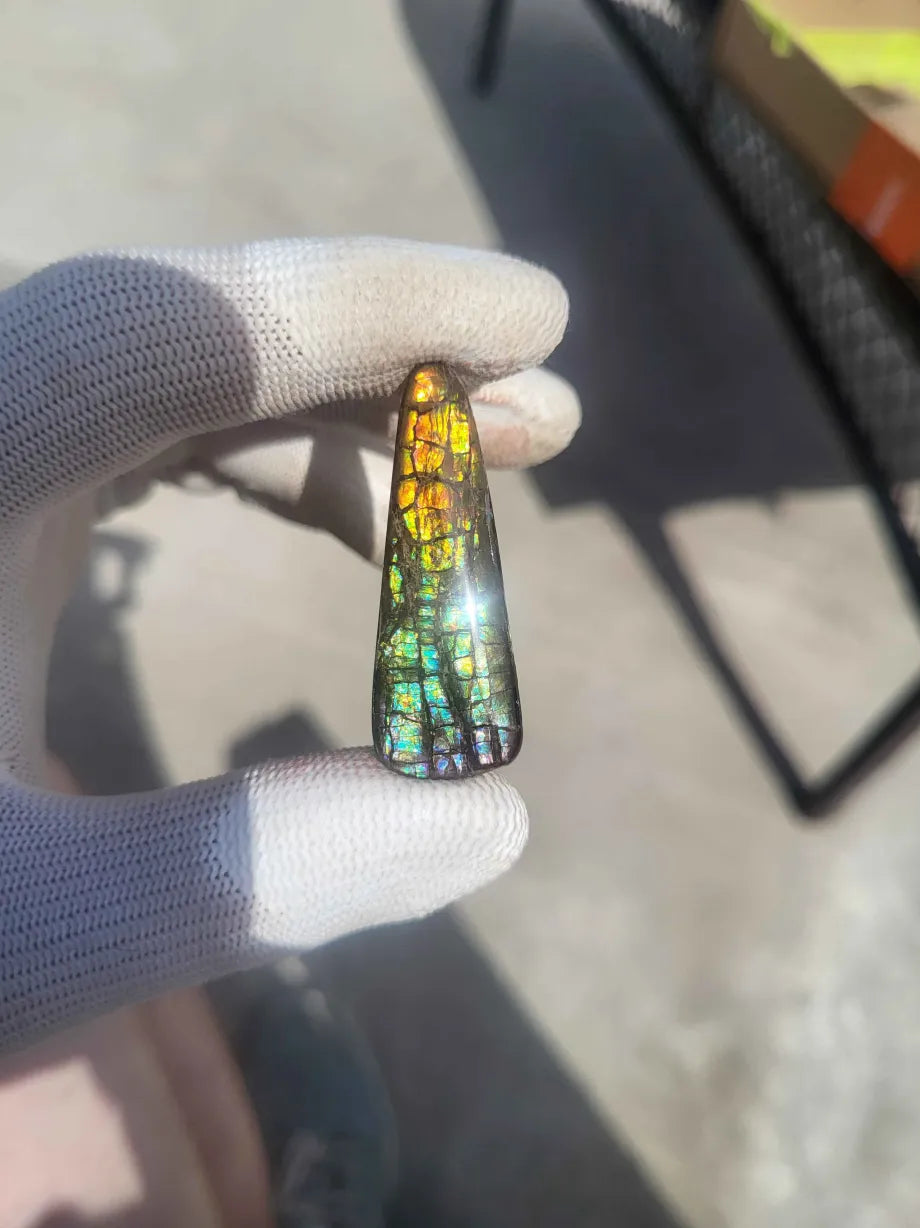 Freeform Ammolite Gemstone - CG79