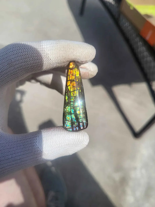 Freeform Ammolite Gemstone - CG79
