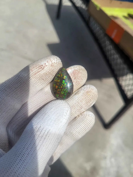 Teardrop Ammolite Gemstone - CG86