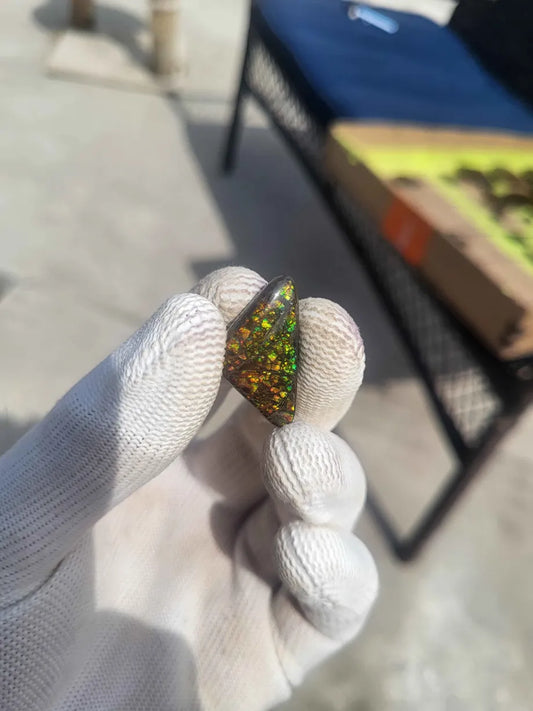 Freeform Ammolite Gemstone - CG80