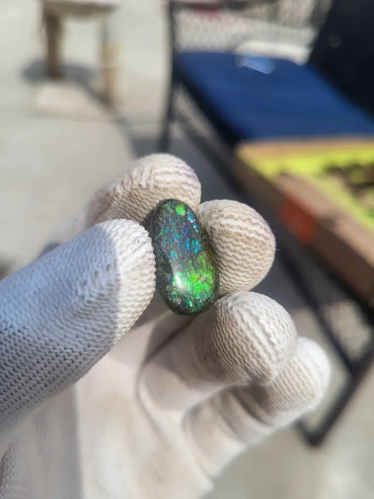 Freeform Ammolite Gemstone - CG81