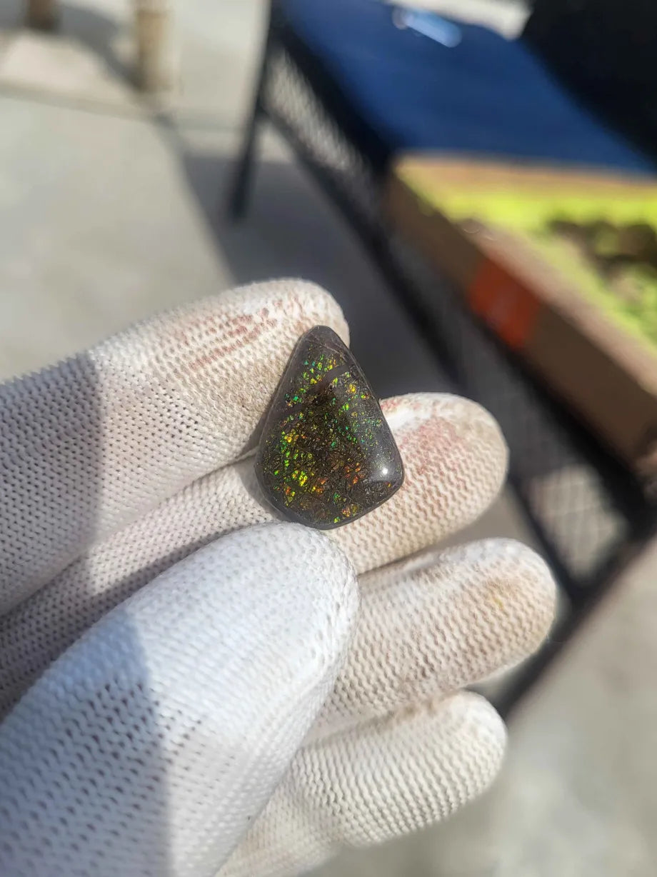 Freeform Ammolite Gemstone - CG82