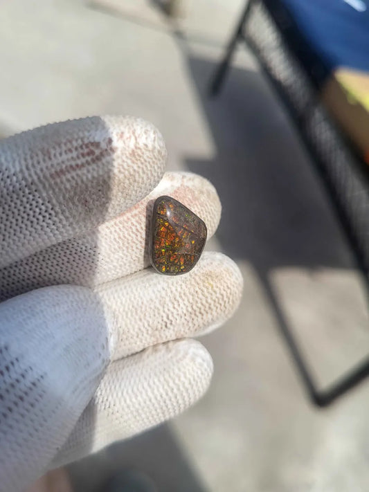 Freeform Ammolite Gemstone - CG83
