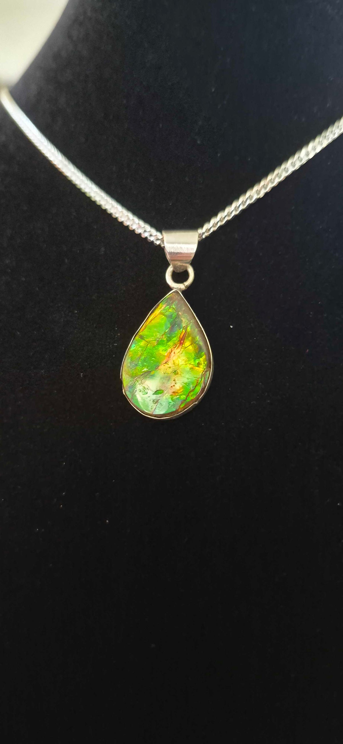 Natural Ammolite Silver Pendant - CGJP12