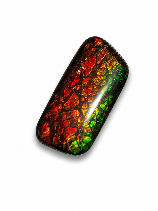 Ammolite Gemstone