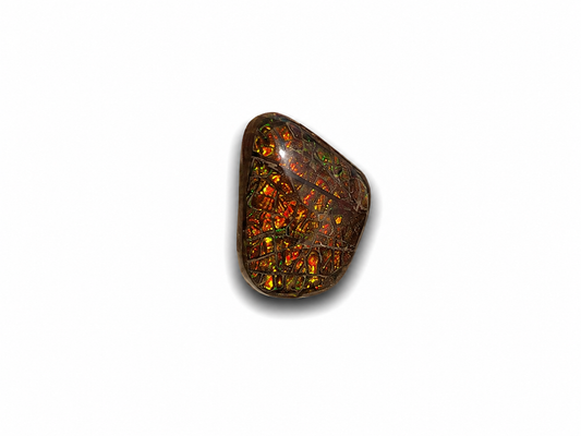 Freeform Ammolite Gemstone - CG83