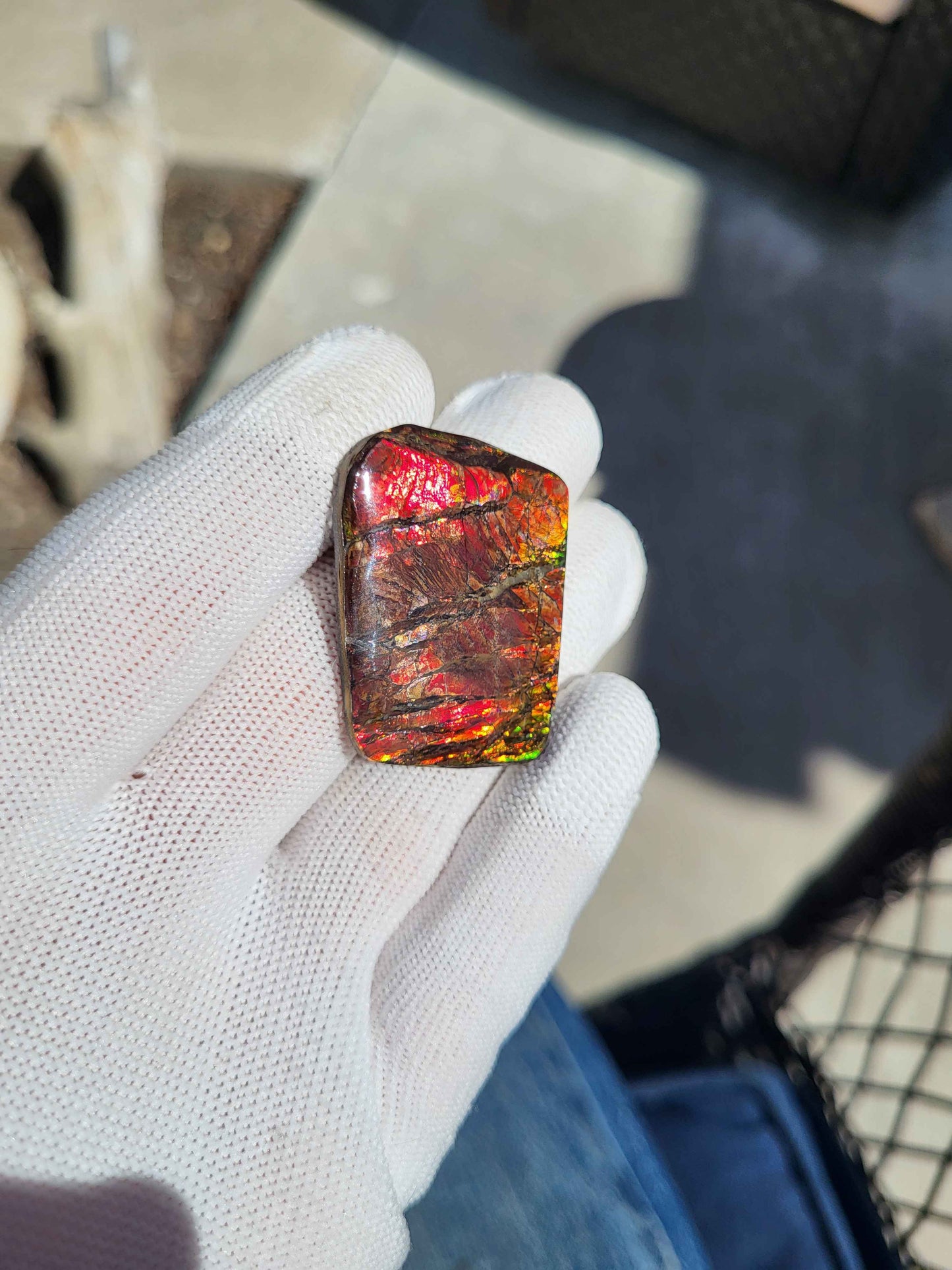 Freeform Ammolite Gemstone - CG46