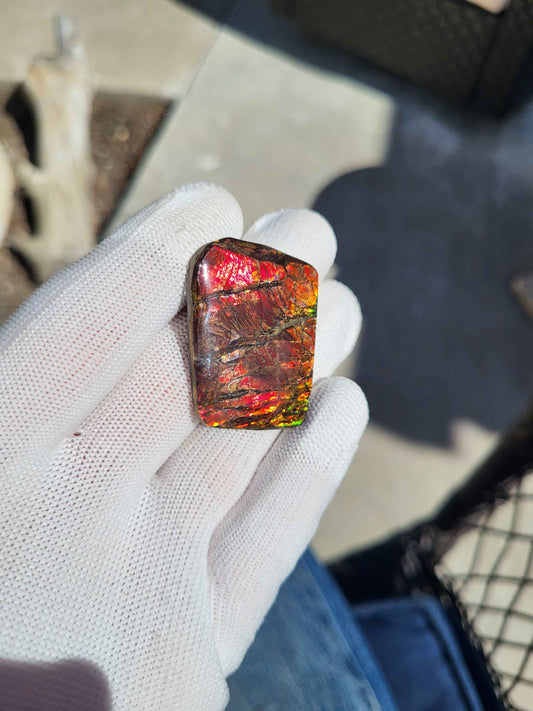 Freeform Ammolite Gemstone - CG46