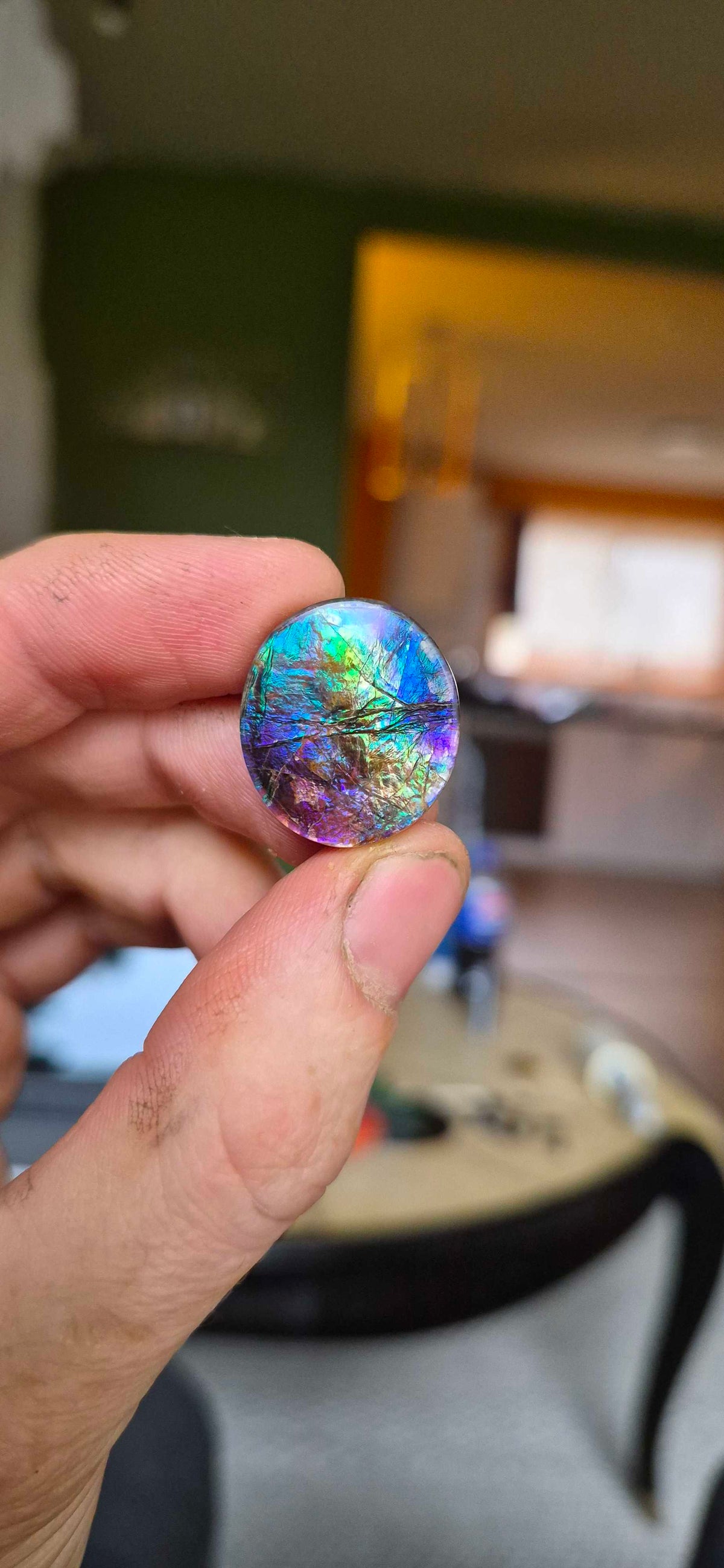 Blue Zone ammolite CGT01 held in hand for scale