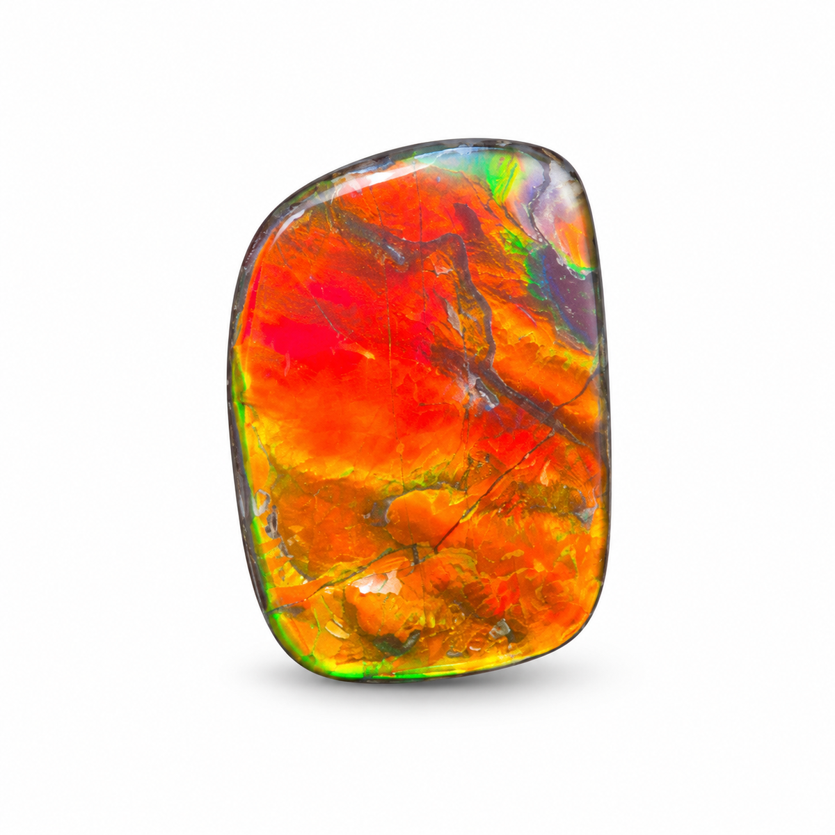 Blue Zone ammolite triplet CGT03