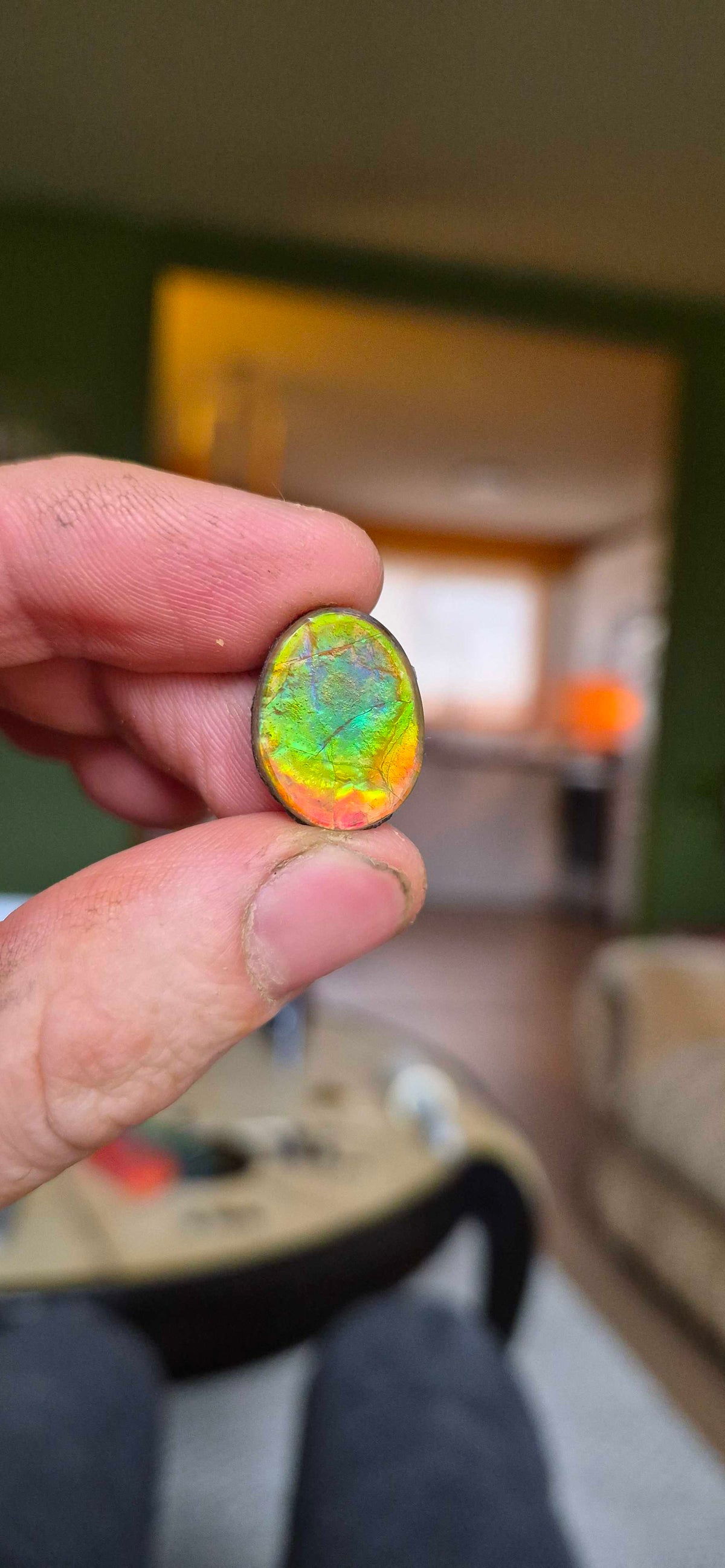 Blue Zone ammolite CGT04 held in hand for scale