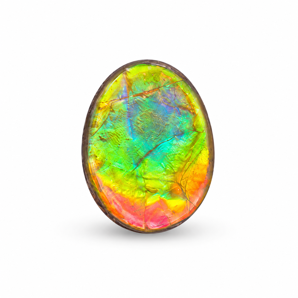 Blue Zone ammolite triplet CGT04