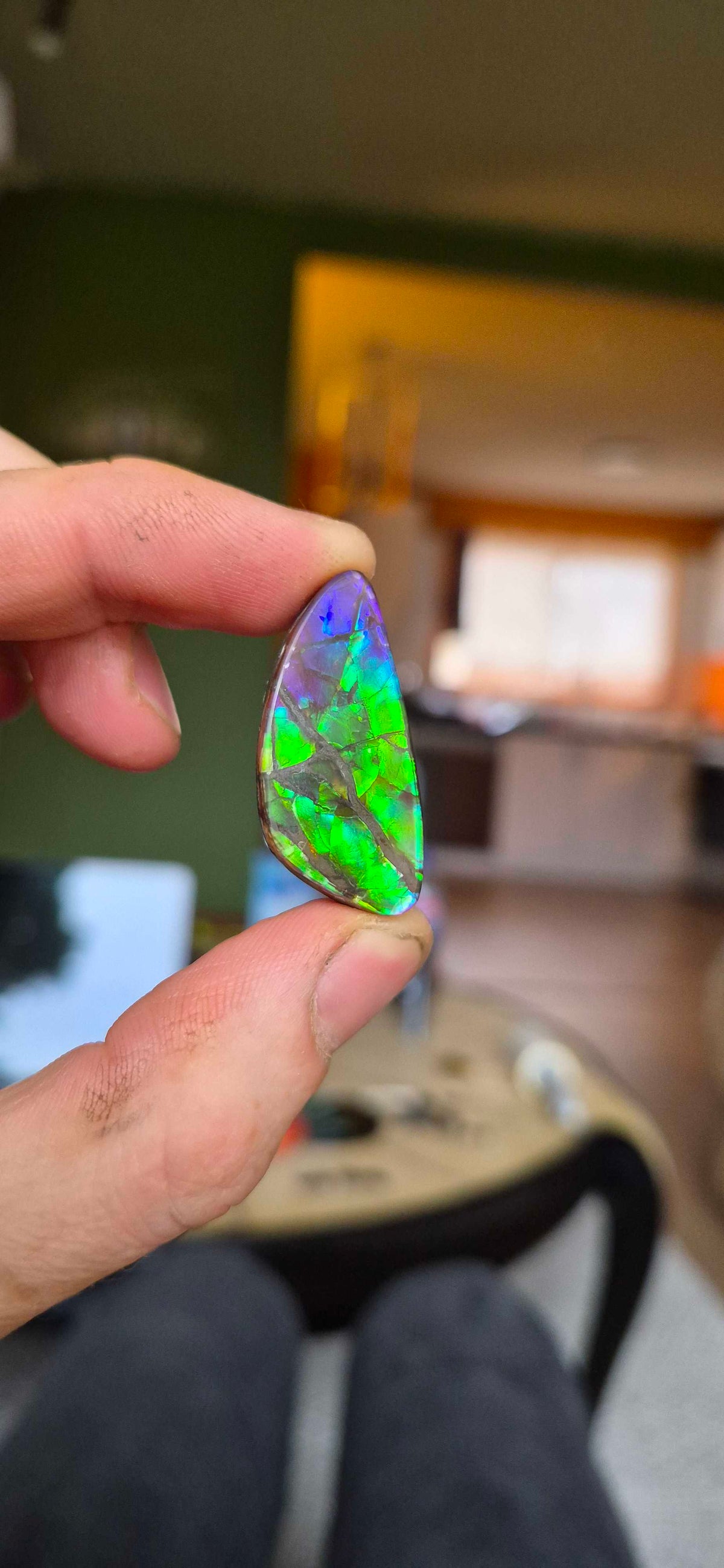 Blue Zone ammolite CGT05 held in hand for scale