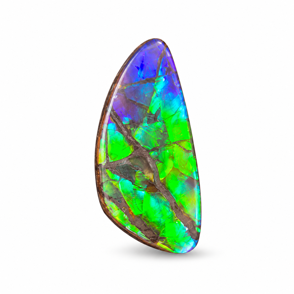 Blue Zone ammolite triplet CGT05