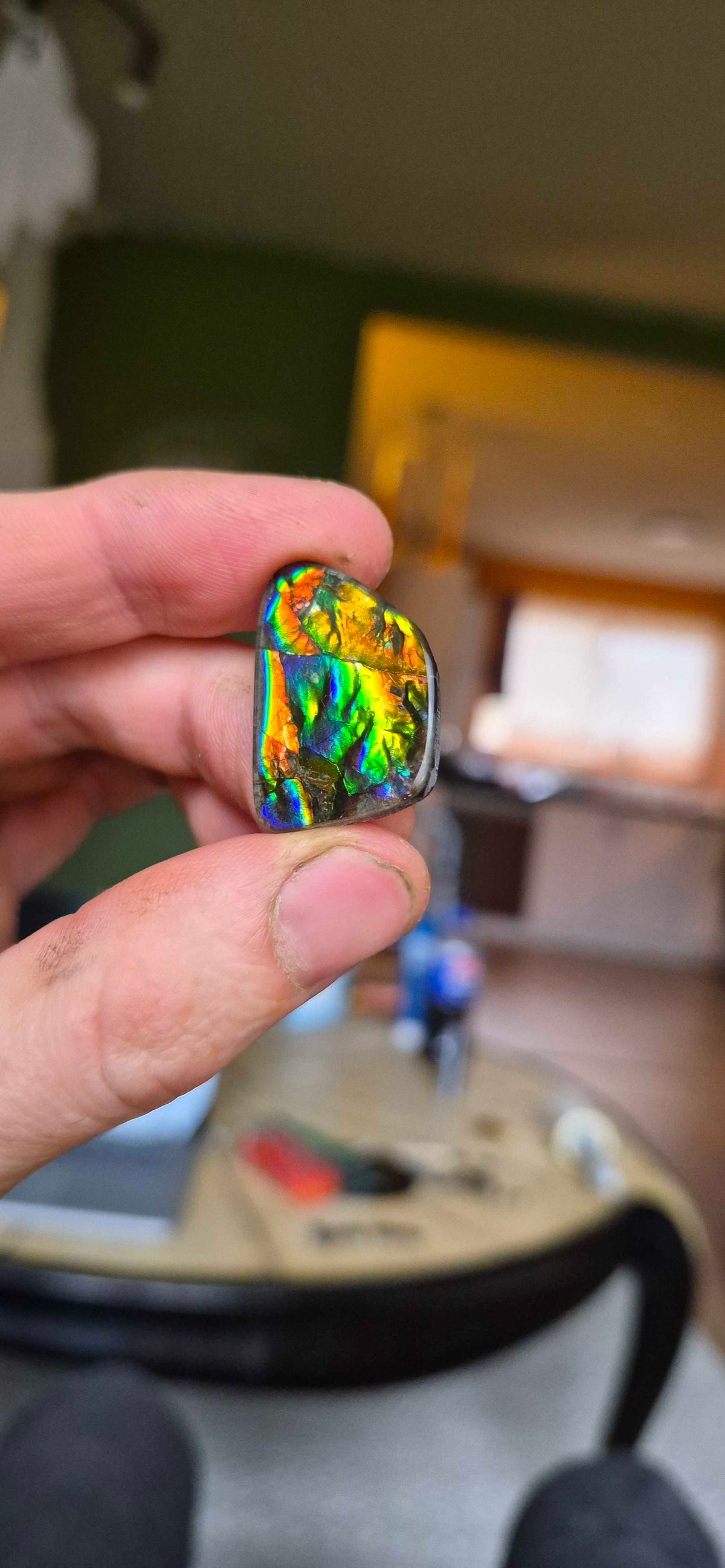 Blue Zone ammolite CGT06 held in hand for scale