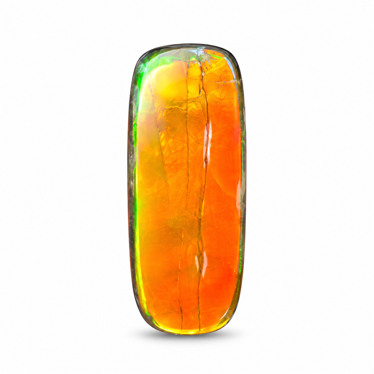 Blue Zone ammolite triplet CGT07