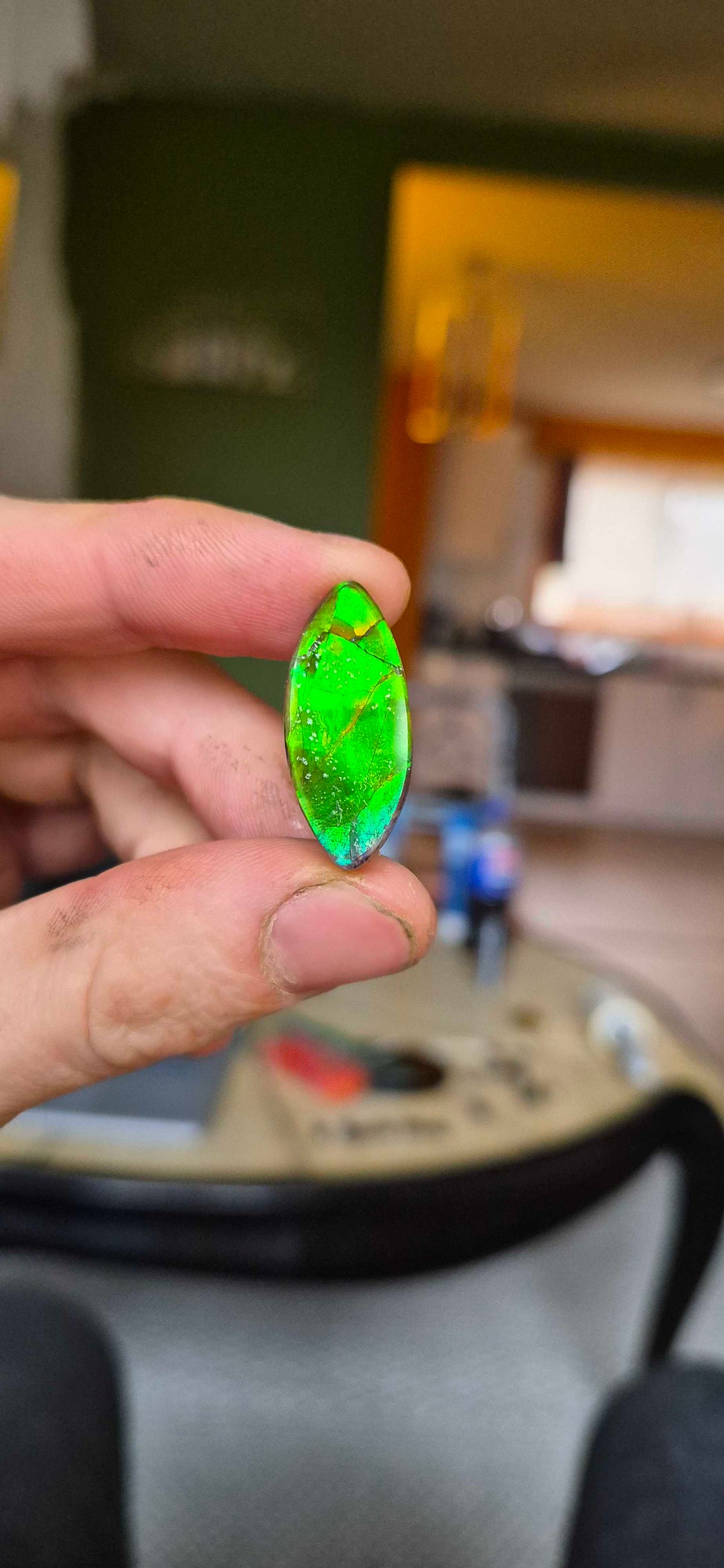 Blue Zone ammolite CGT08 held in hand for scale