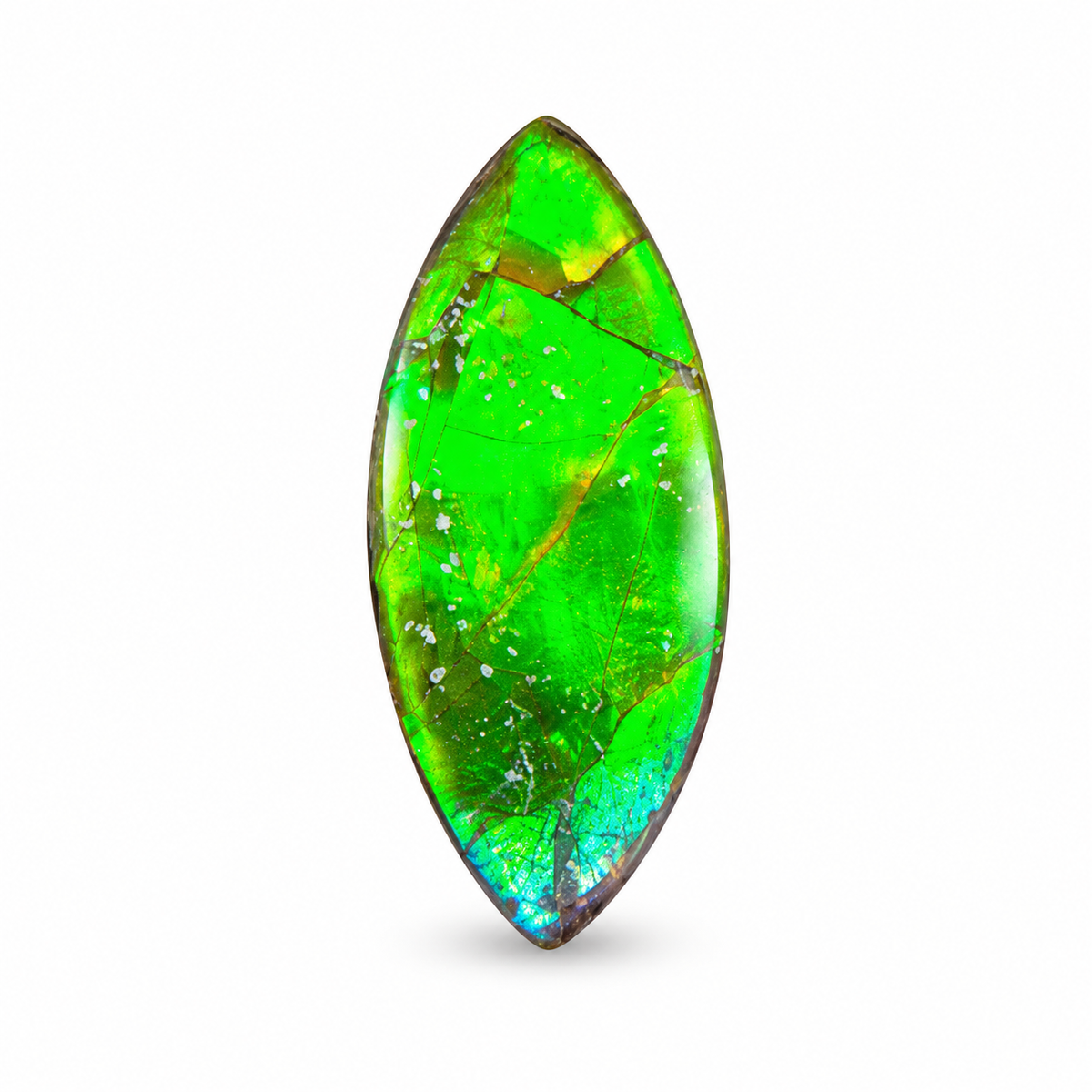Blue Zone ammolite triplet CGT08