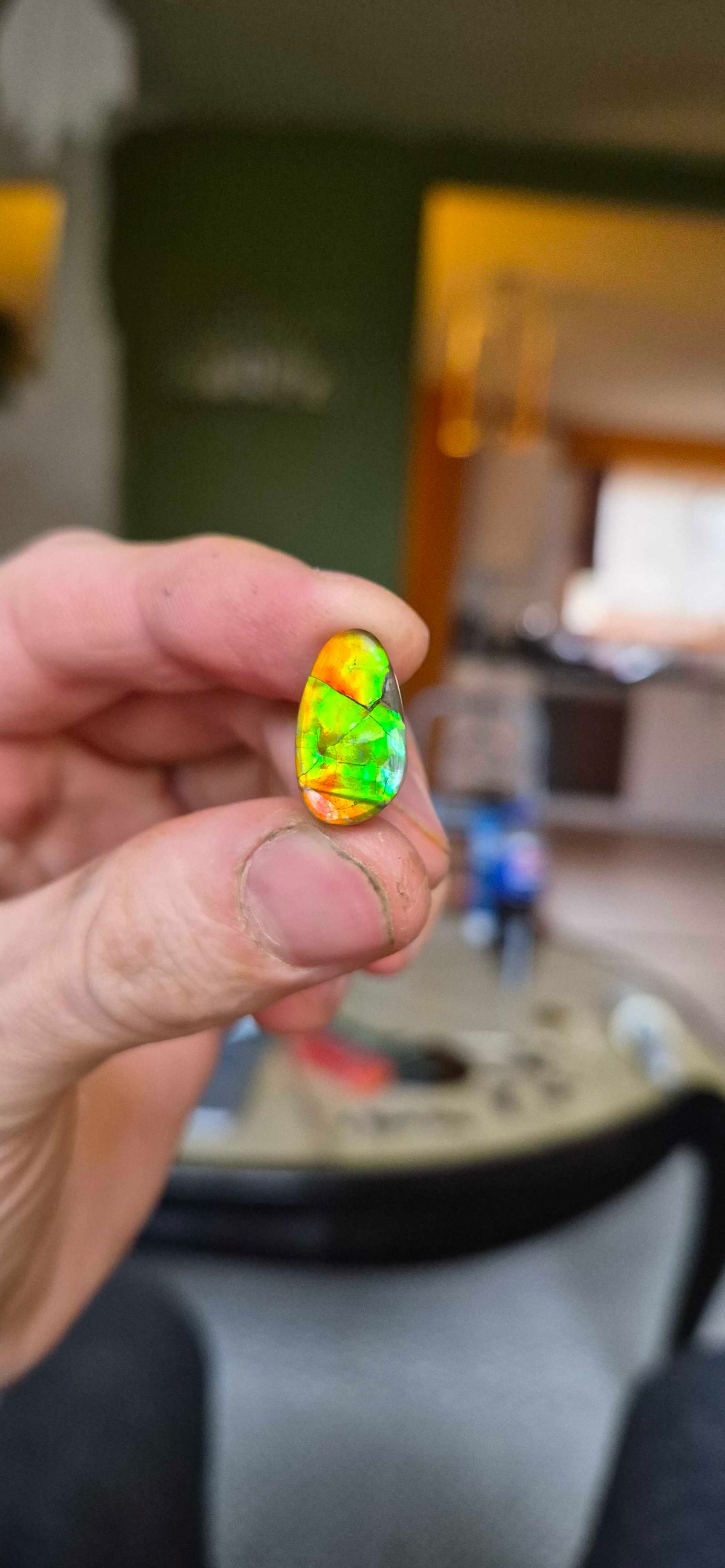 Blue Zone ammolite CGT09 held in hand for scale