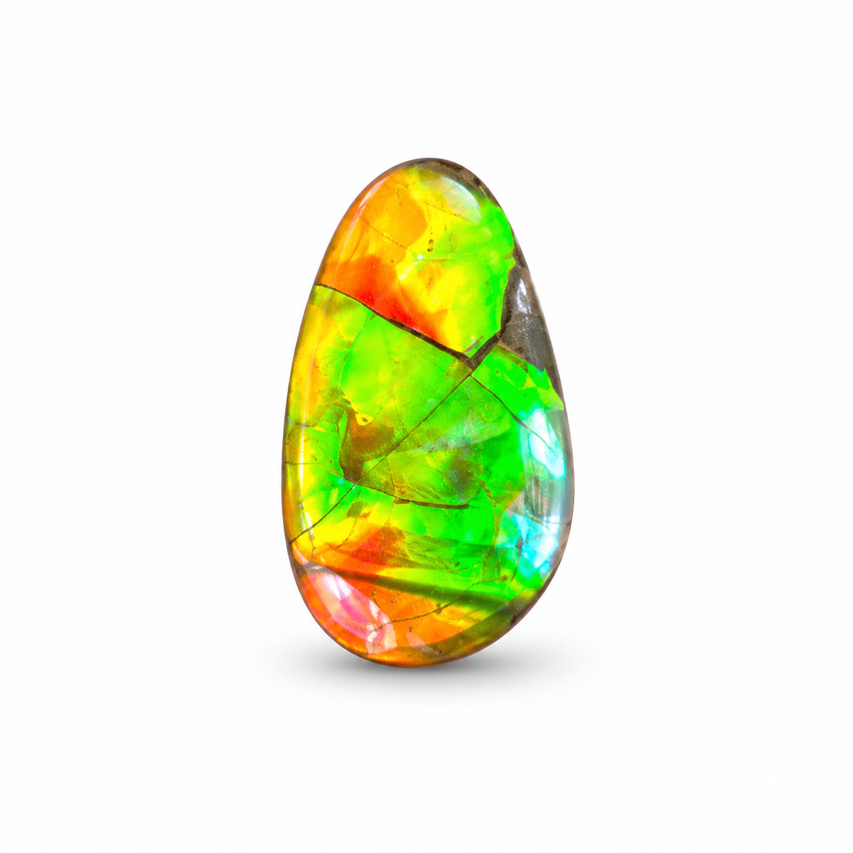 Blue Zone ammolite triplet CGT09